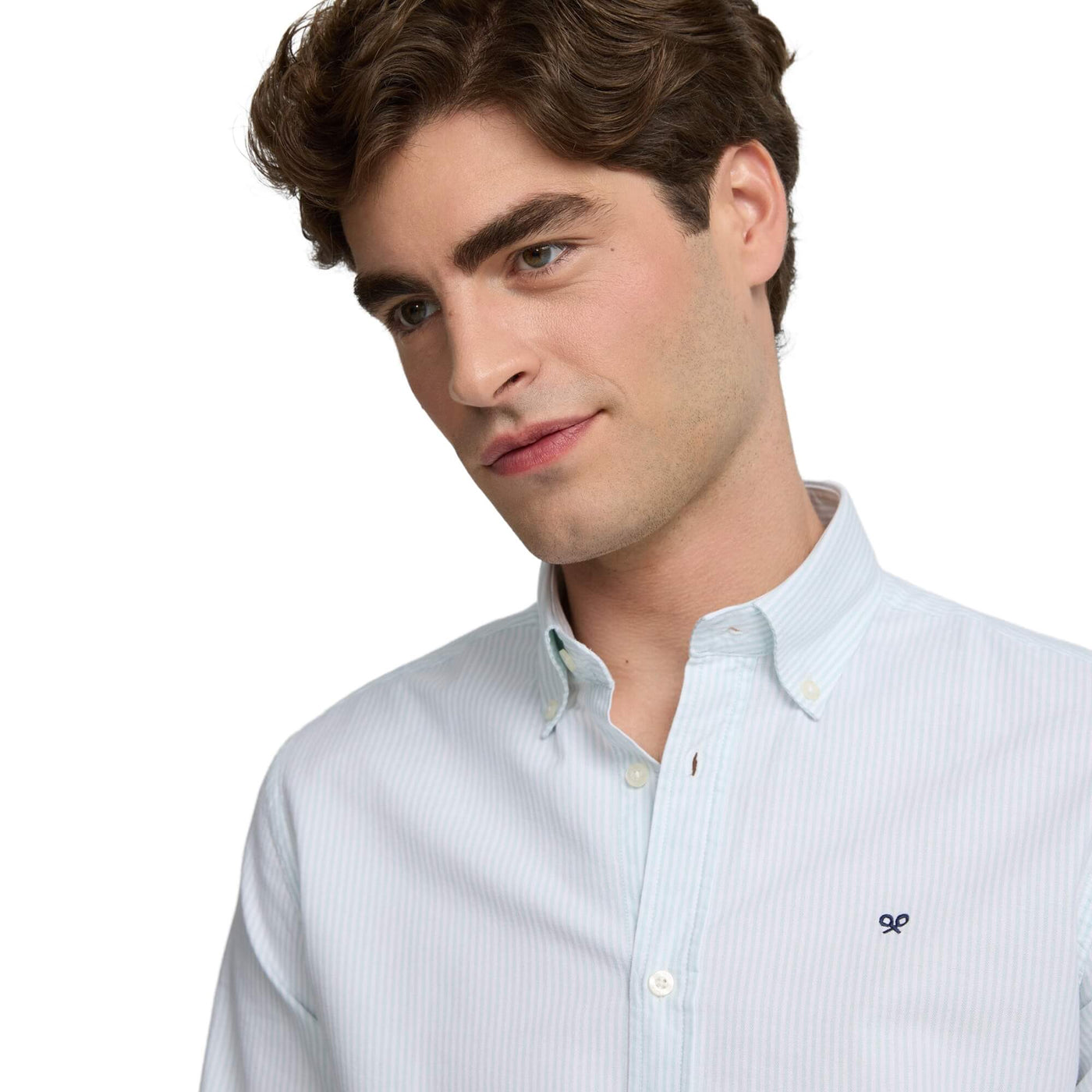 Camisa Sport Oxford Rayas Verde Claro | Silbon · imagen 2