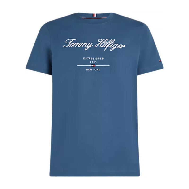 Tommy Hilfiger Camiseta Mw0mw33691dbz Script Logo Tee