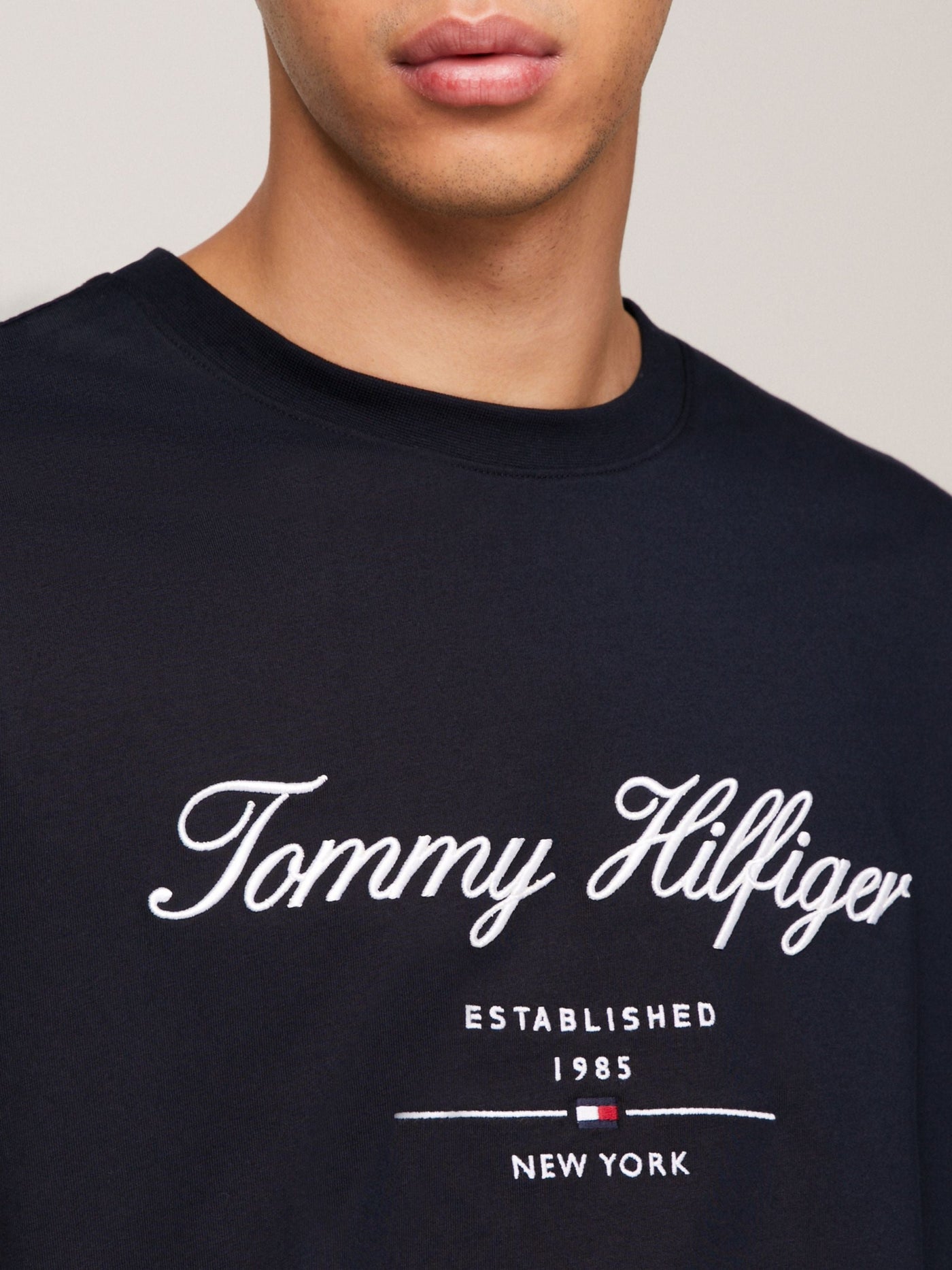 Camiseta Script Logo Azul Marino | Tommy Hilfiger · imagen 4