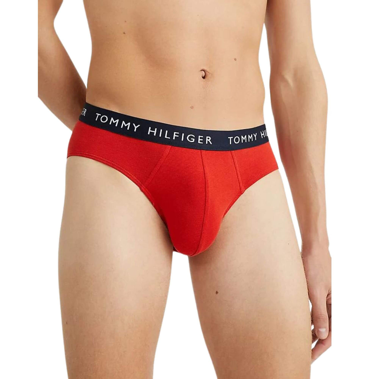 Calzoncillos Tommy Hilfiger Hombre 3P Brief