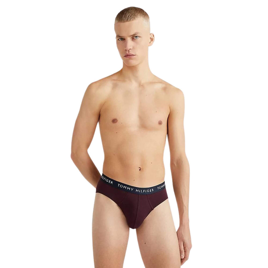 Calzoncillos Tommy Hilfiger Hombre 3P Brief - Medina Menswear®