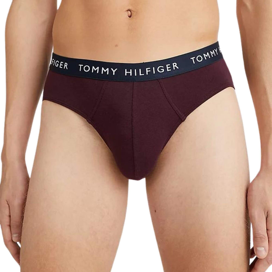 Calzoncillos Tommy Hilfiger Hombre 3P Brief - Medina Menswear®
