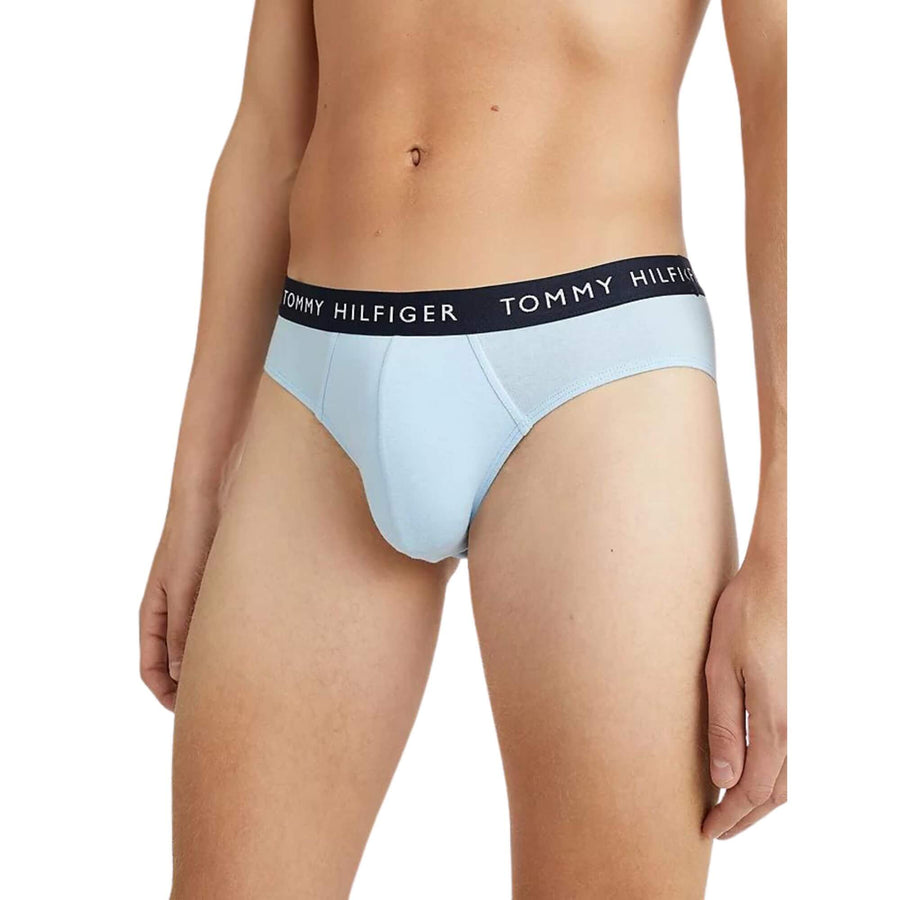 Calzoncillos Tommy Hilfiger Hombre 3P Brief - Medina Menswear®