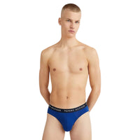 Thumbnail for Calzoncillos Tommy Hilfiger Hombre 3P Brief - Medina Menswear®