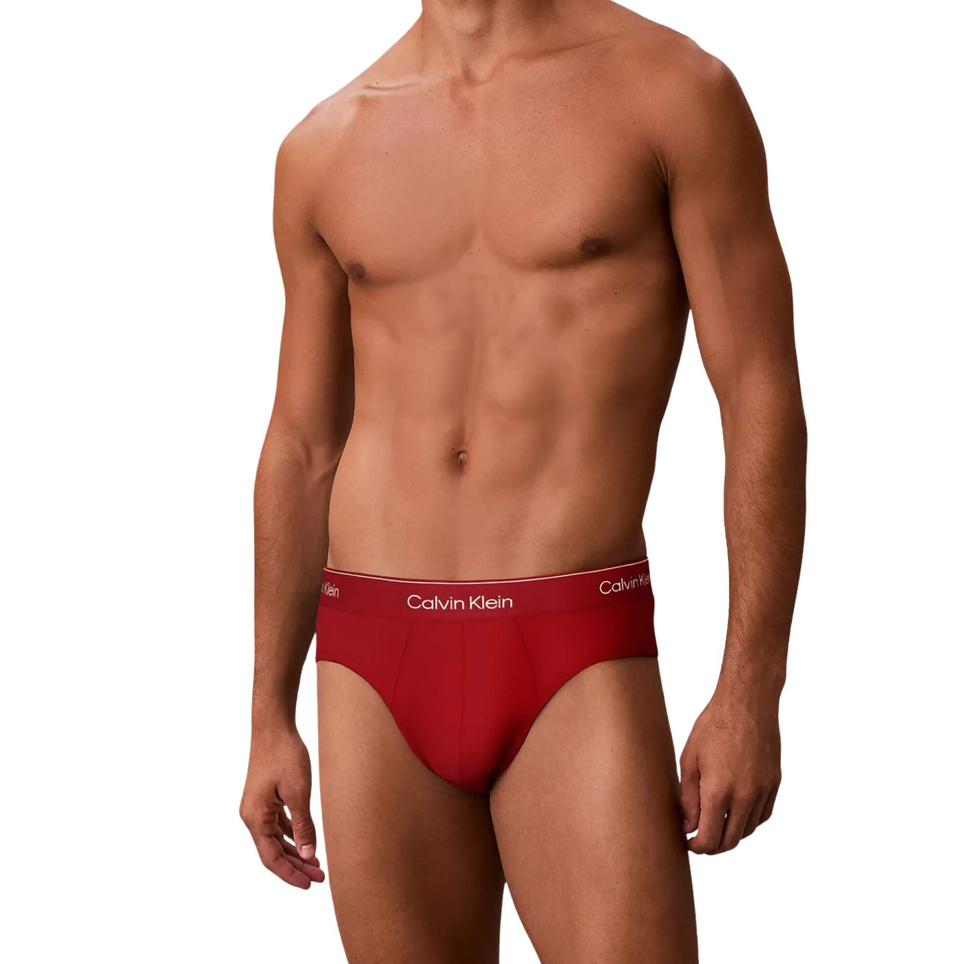 Calzoncillos Calvin Klein Hombre Pack 3 Hip Brief · imagen 1