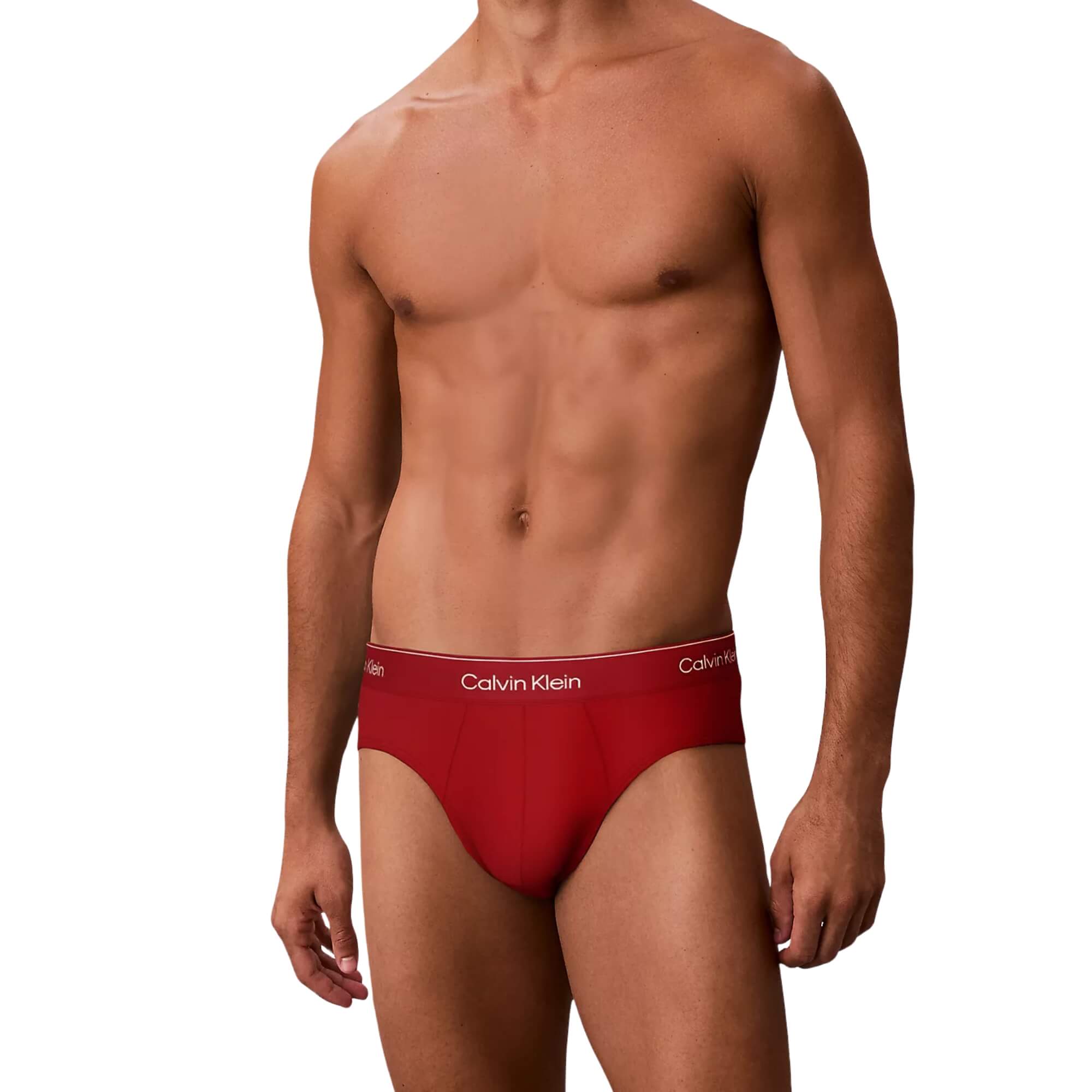 Calzoncillos Calvin Klein Hombre Pack 3 Hip Brief · imagen 1