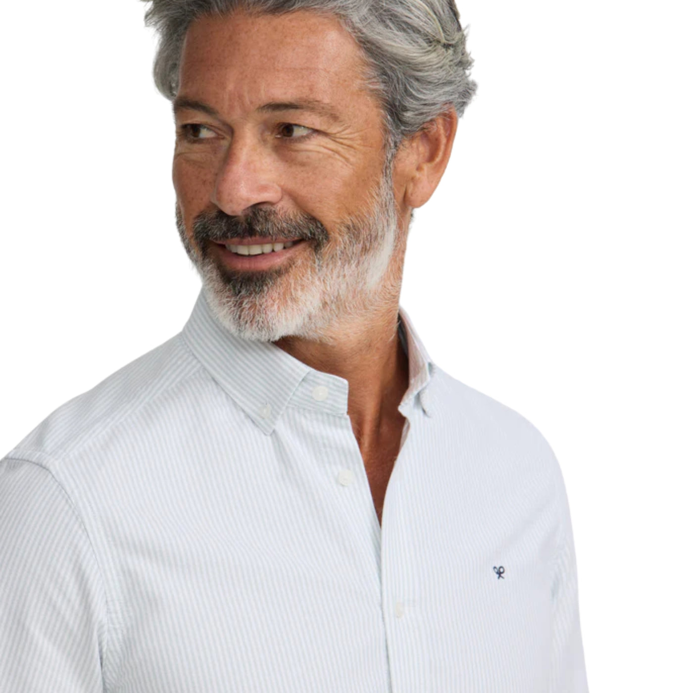Silbon Camisa Sport Oxford Raqueta Rayas Verde · imagen 1