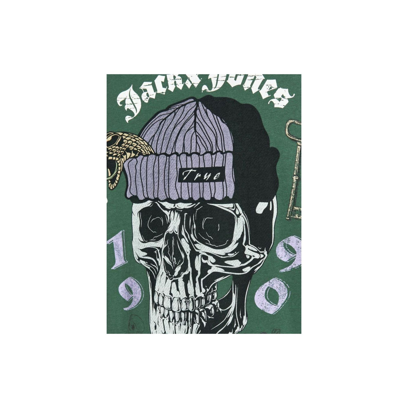 Camiseta Jordome Tee Ss Crew Neck Sn Green | Jack & Jones · imagen 2