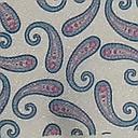 Corbatas Coolties Hombre Paisleys Pala 8
