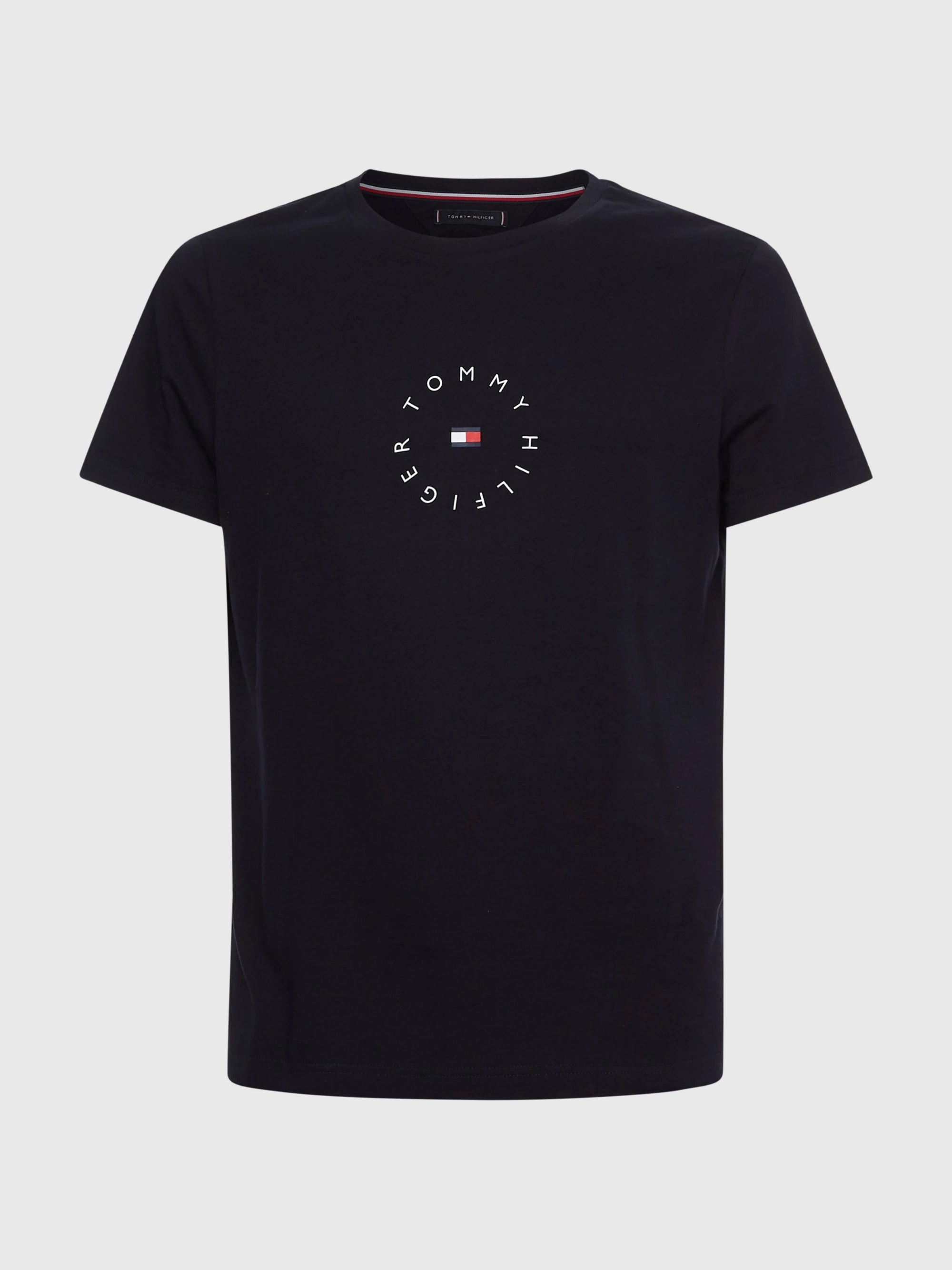 Camisetas Tommy Hilfiger Hombre Camista Roundall Graphic Tee · imagen 5