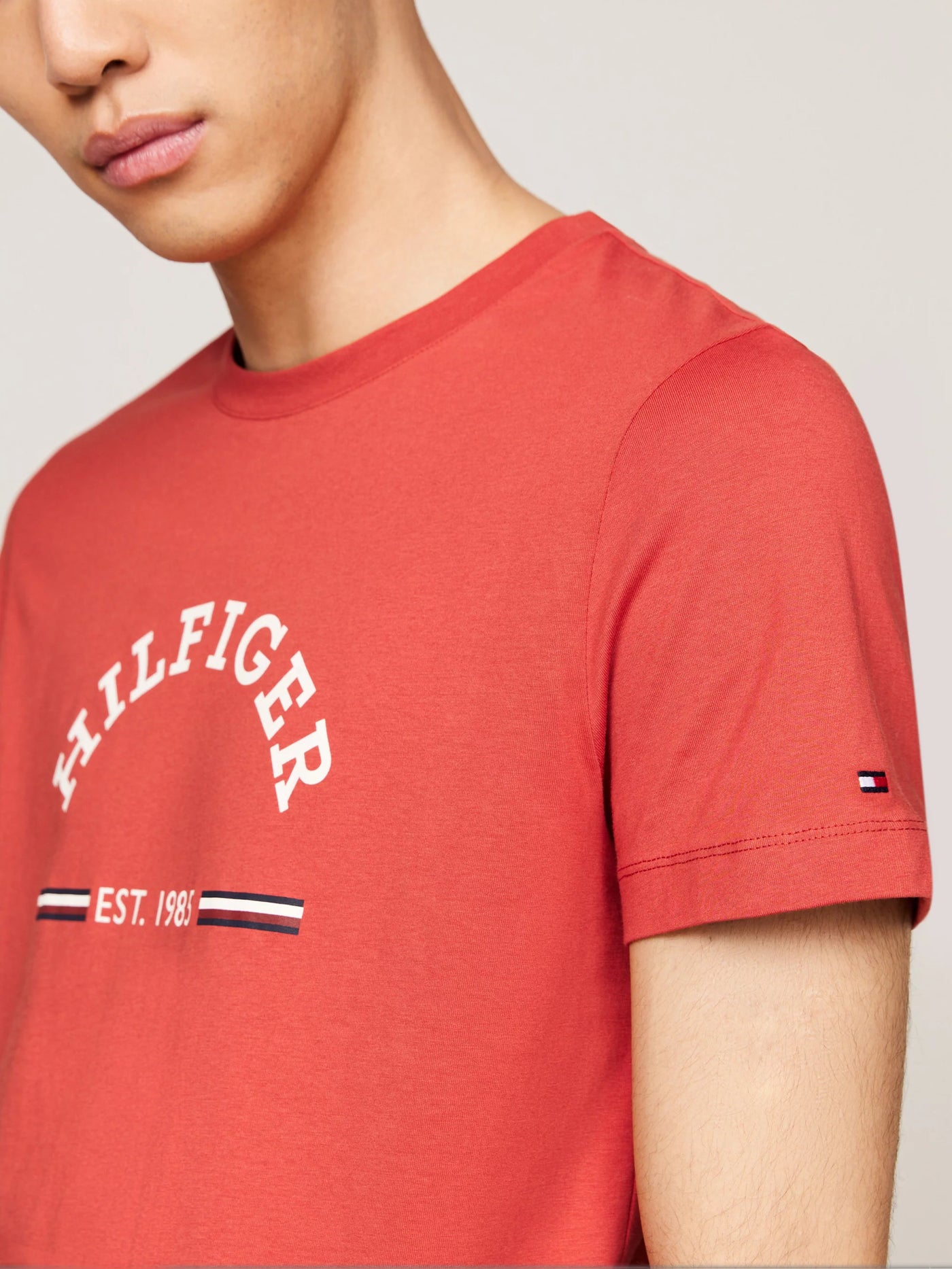 Camisetas Tommy Hilfiger Hombre Rwb Arch Gs Tee · Rojo Azul marino · imagen 3