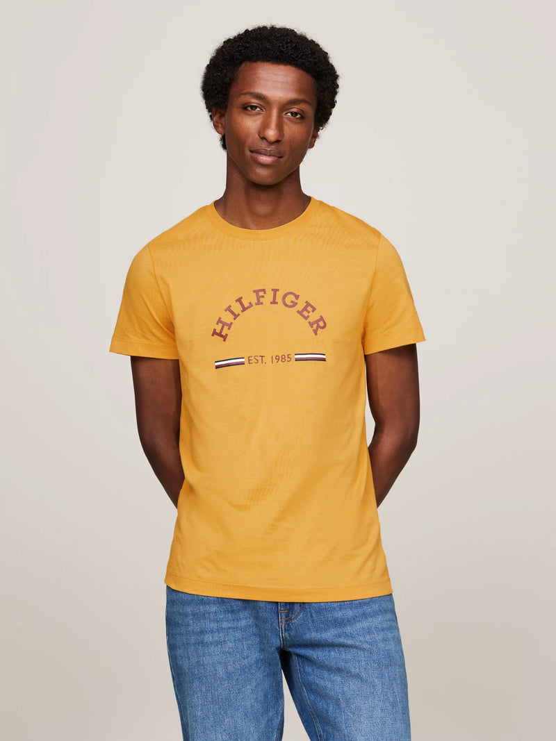 Camisetas Tommy Hilfiger Hombre Rwb Arch Gs Tee · Naranja Rojo