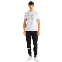 Thumbnail for Camisetas Tommy Hilfiger Hombre Established Stacked Tee