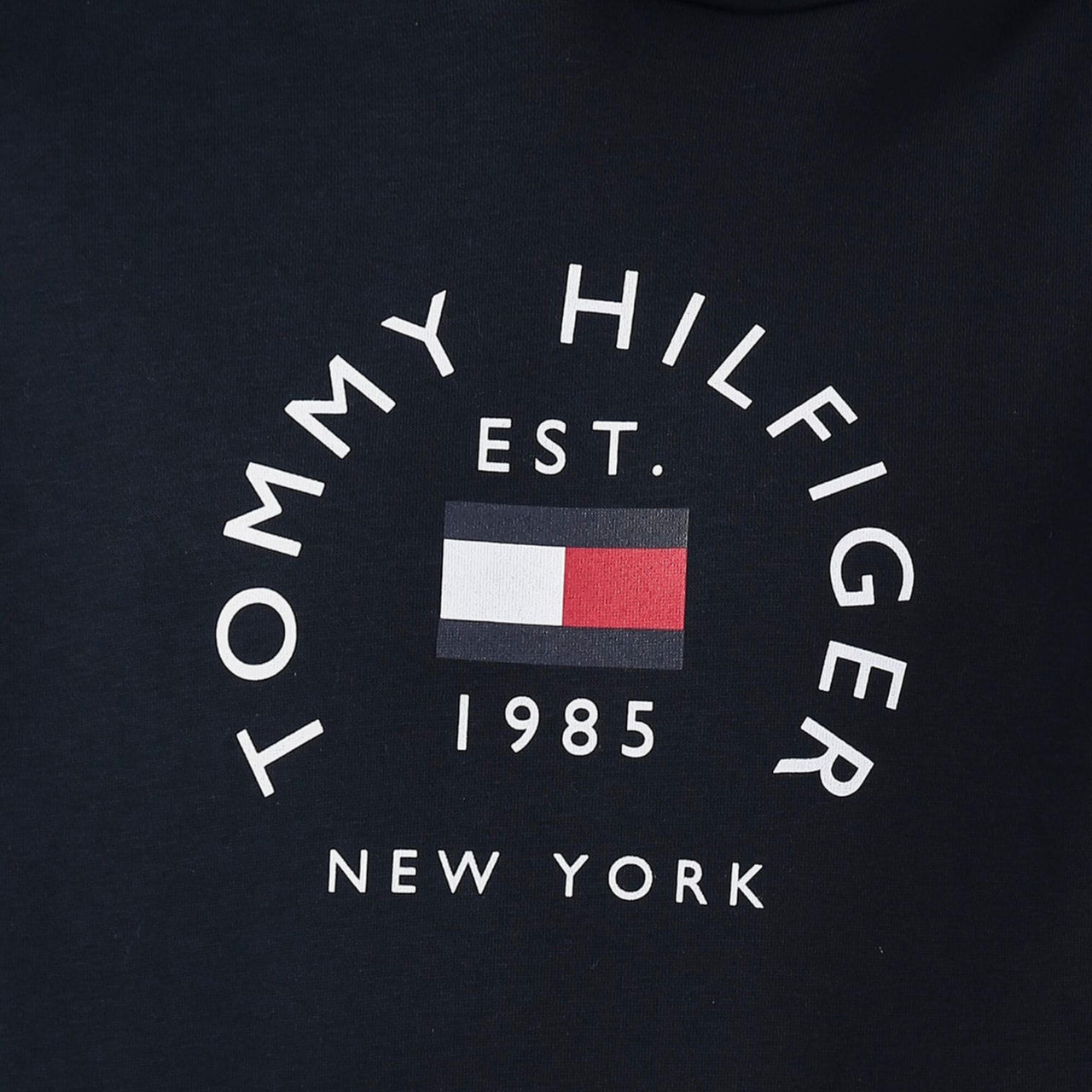 MW0MW27842DW5 Jersey tommy hilfiger flag arch hoody